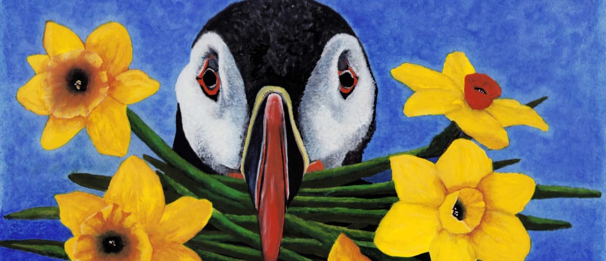 Maximus Puffin--arriving home with an unexpected beak full of daffodils instead of fish for his Hunny--her favorite flower!--they'll be hungry tonight, but they'll both be smiling!